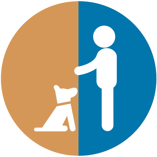 Dog Training