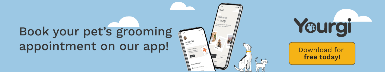 Book your pet's boarding appointment on our app!